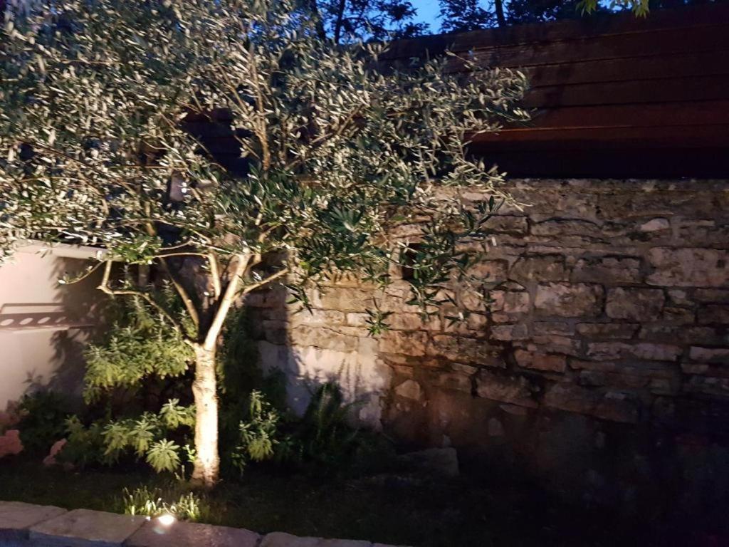 Haus Delma Villa Brajkovici  Exterior foto